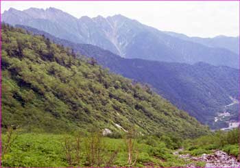 小池新道から穂高