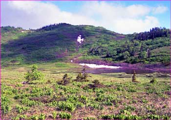 黒沢池