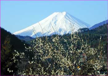 富士山