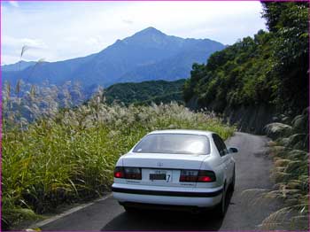 高石林道で