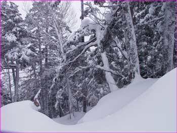 吹雪の合戦尾根