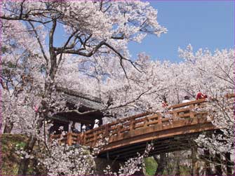 高遠城址公園