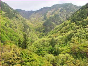 塩川沿いの山