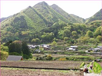 水引前の