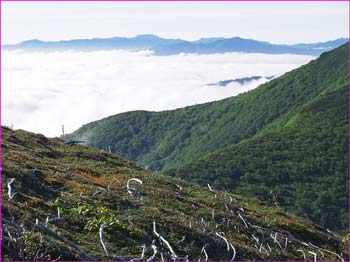 大雪方面雲海