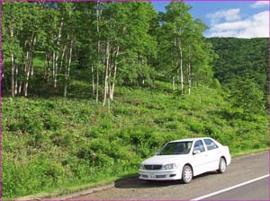 レンタカーで鹿追町へ