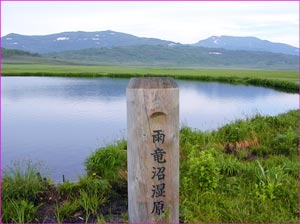 雨竜沼湿原