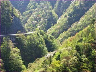 多摩川上流