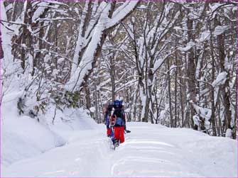 雪の登行