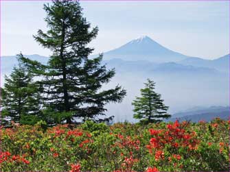 甘利山富士