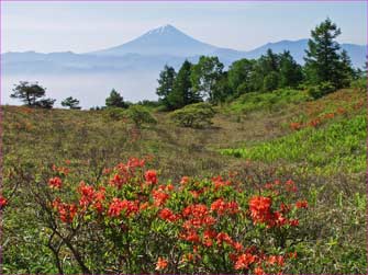 甘利山