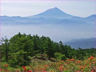 富士山