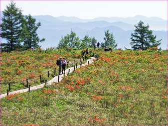 甘利山