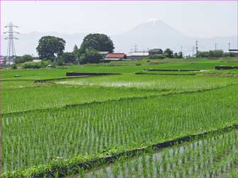 韮崎辺り