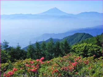 富士山