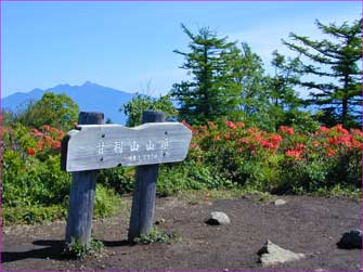 甘利山山頂