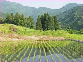 八海山麓