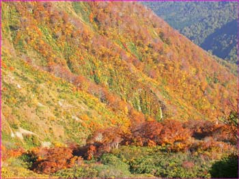 前神室山中紅葉