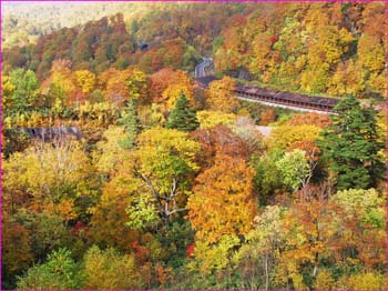 玉川温泉辺りの秋