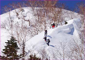 一ノ沢ノ頭下山