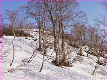 残雪の尾根