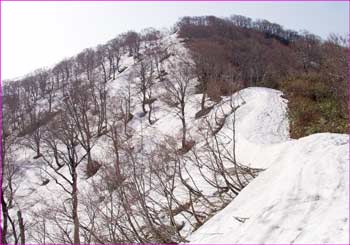 博士山への雪尾根