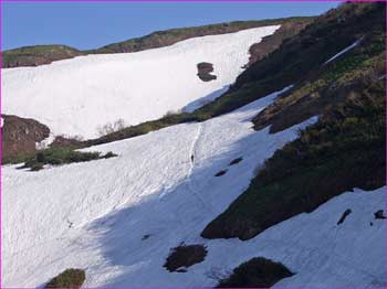 雪渓登り