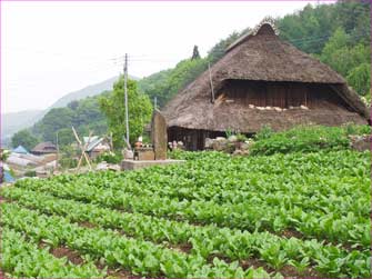 芦川茅葺きの