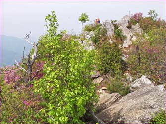 釈迦ヶ岳山頂