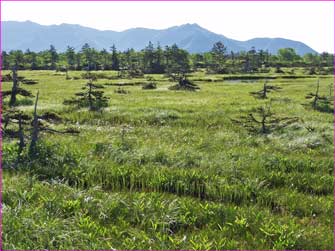 石狩岳