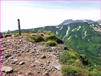 忠別岳山頂