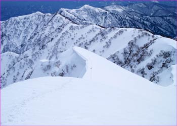 遠見尾根を見下ろす