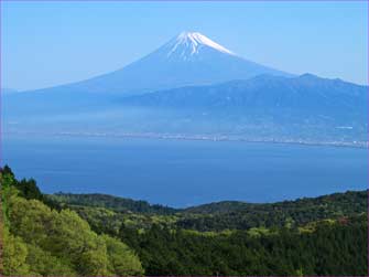 駿河富士