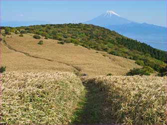 富士山