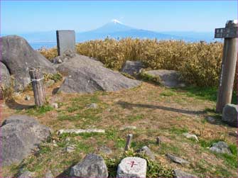 達磨山山頂