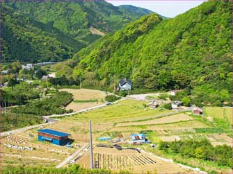 北山の棚田