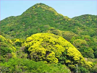 平氏ヶ岳