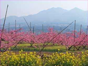 茅ヶ岳