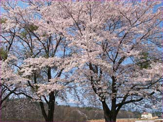 日野春辺り