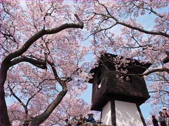 高遠城址公園