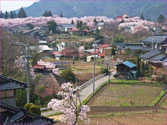 城址公園望む