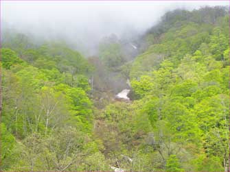 山には雲も