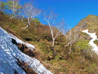 厳剛新道で