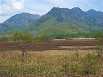 小田代原