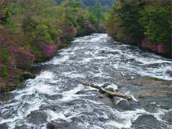 竜頭の滝