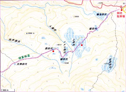 裏燧地図