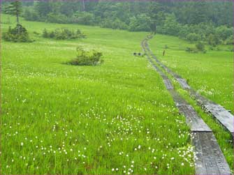 上田代