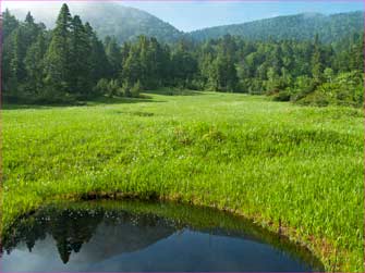 横田代