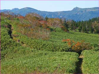 秋田駒方面