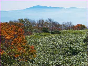 早池峰山